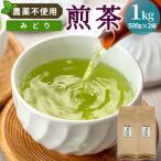 農薬不使用 煎茶 みどり 1kg