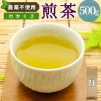農薬不使用 煎茶 わかくさ 500g