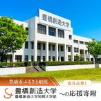 豊橋市への寄付（返礼品なし）