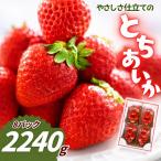 やさしさ仕立てのとちあいか 280g×8P
