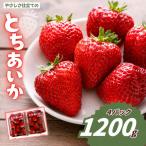 やさしさ仕立てのとちあいか 300g×4P