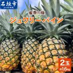 お試し用 蜜香の極 ジュワリーパイン 2玉