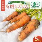 有機にんじん5kg にんじんジュースにも