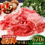 佐賀牛 切り落とし 670g