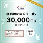 日本旅行 地域 旅行クーポン 30 000円分