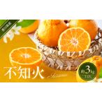 不知火 柑橘 みかん