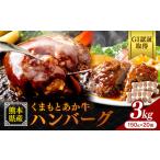 GI認証取得 くまもとあか牛 ハンバーグ 3kg