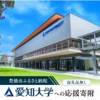 豊橋市への寄付（返礼品なし）