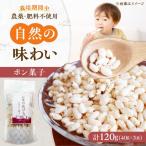 ポン菓子 お米の花びら 3個