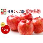 りんご 福井りんご園 サンふじ 秀品 約5kg