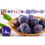 プルーン 福井りんご園 生プルーン 約1.8kg