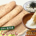 高野農園 ながいも 10kg