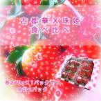 ふるさと納税 いちご好きのためのいちご 奈良県ブランドいちご 「古都華」「珠姫」食べ比べセット 2027年4月発送 奈良県広陵町