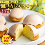 レモンケーキ 10個