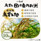Y266 鳥取旭10kg 精米