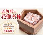Y481 五角形の花御所柿 大工が作る杉の箱入り