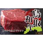 Y1025 鳥取和牛赤身ブロック 約300g