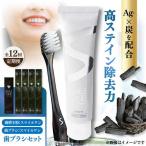 全12回定期 歯ブラシセット 消耗品 BHBA008