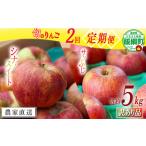 旬のりんご 訳あり 5kg