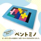 パズル ペントミノ 知育 モンテッソーリ スポンジ