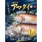 竹中水産の甘鯛 赤又は白 約1キロ