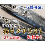 竹中水産の釣の太刀魚 約2キロ