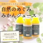 愛媛みかん果汁100%ストレート 自然のめぐみジュース 180ml…