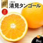 八幡浜産 清見タンゴール8kg わけあり