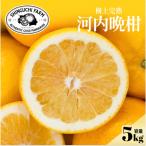 河内晩柑 5kg