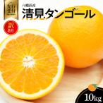 八幡浜産 清見タンゴール10kg YWTAS031