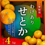 三代目のわけありせとか4kg YWTAC023