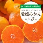大玉サイズのみ厳選 八幡浜産 愛媛みかん8kg