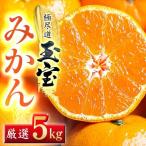 玉宝みかん 5kg