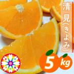 愛咲果樹園 不知火 デコ 訳あり 約8kg