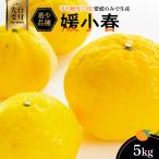 平均糖度13度 愛媛のみで生産の希少品種