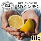 訳あり 愛媛レモン10kg 防腐剤 ワックス不使用