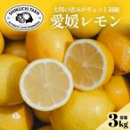愛媛育ちのレモン 3kg