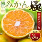 極早生みかん 3kg