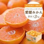 西宇和地区八幡浜産 愛媛みかん3kg YWTAP106