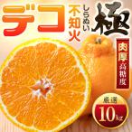 コク深い甘み 10kg