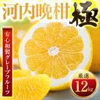 河内晩柑 12kg
