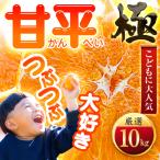 シャキシャキ甘い♪♪ 10kg