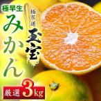 極早生みかん 3kg