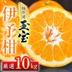 玉宝伊予柑 10kg