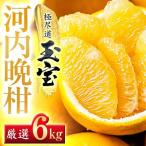 玉宝河内晩柑 6kg