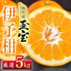 玉宝伊予柑 5kg