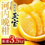 玉宝河内晩柑 3.5kg