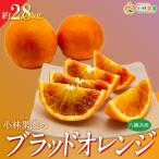 愛媛 小林果園のせとか 約2.8kg