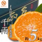 JAにしうわの季節の柑橘 日の丸共選 千兩 約5kg