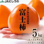 JAにしうわの季節のくだもの富士柿5kg